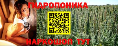 стафф Пугачёв