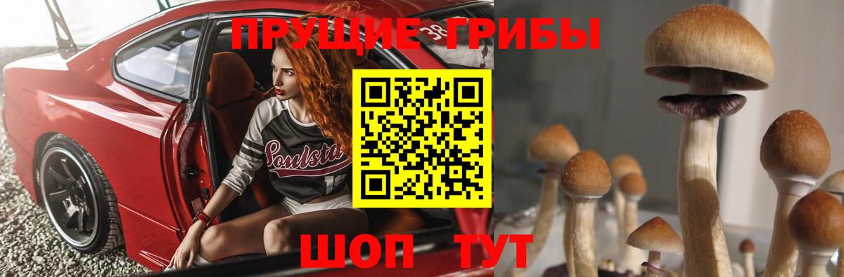 Галлюциногенные грибы мухоморы Серпухов